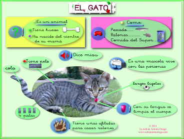 PDF El Gato